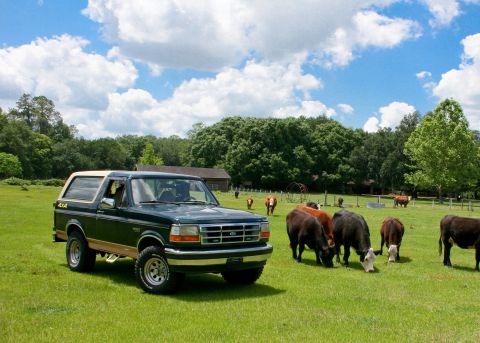 1994 Ford Bronco photo