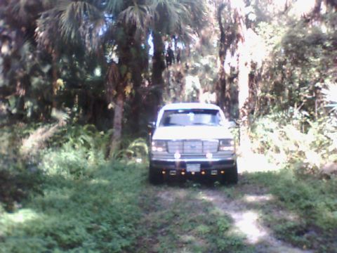 1995 Ford Bronco “allcruisen”