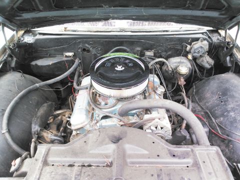 1966 Pontiac Catalina “Cat”