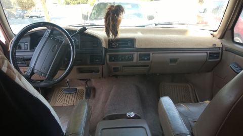 1996 Ford Bronco photo