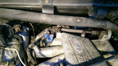 1996 Ford F-150 photo