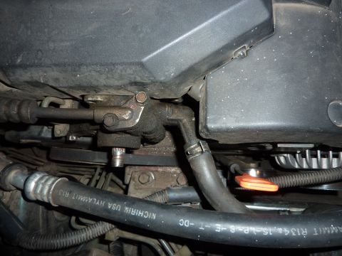 1998 Honda Accord photo