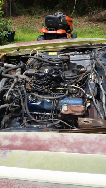 1972 Ford Ranchero photo