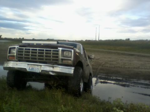 1980 Ford Bronco photo