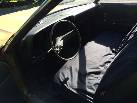 1973 Ford Torino photo