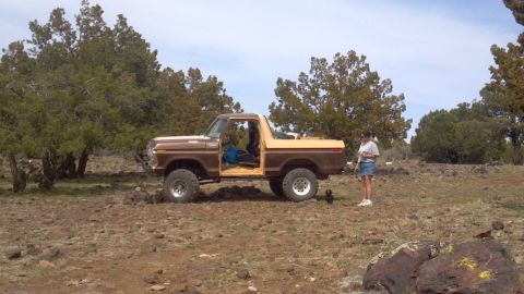 1978 Ford Bronco photo