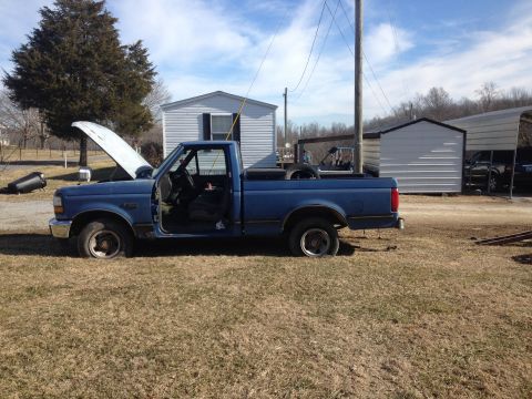 1995 Ford F-150 photo