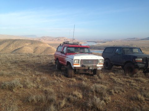 1979 Ford Bronco photo