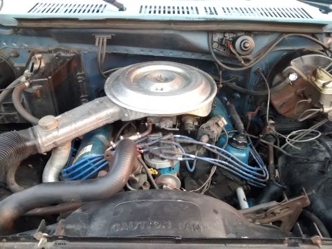 1980 Ford F-150 photo