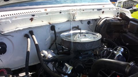 1979 Ford Bronco photo