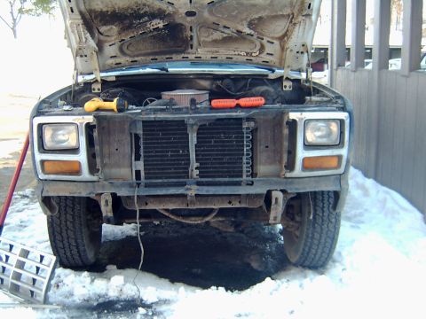 1982 Ford Bronco photo