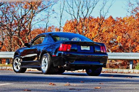 2002 Ford Mustang photo