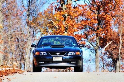 2002 Ford Mustang photo