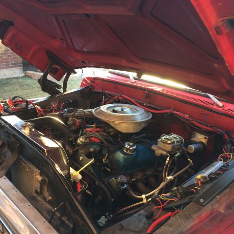 1979 Ford Bronco photo