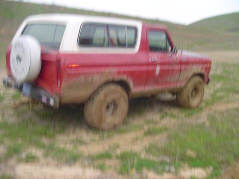 1978 Ford Bronco “Beast”