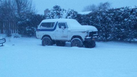 1979 Ford Bronco photo