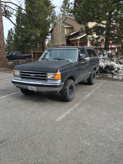 1988 Ford Bronco photo