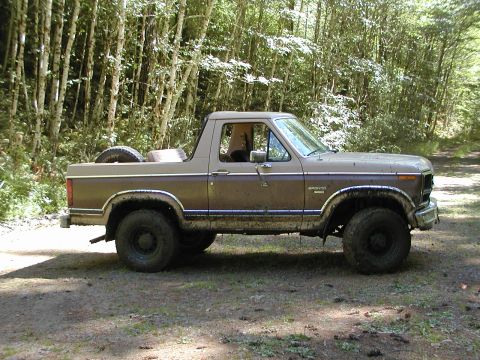 1984 Ford Bronco photo