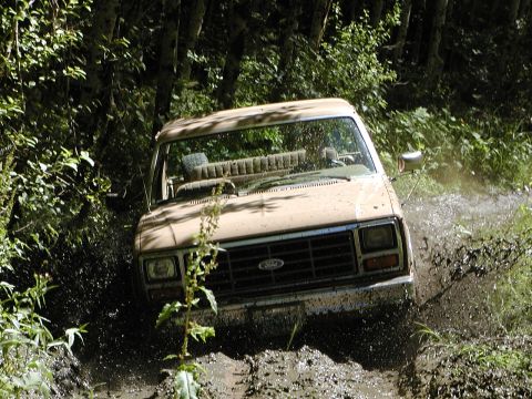 1984 Ford Bronco photo