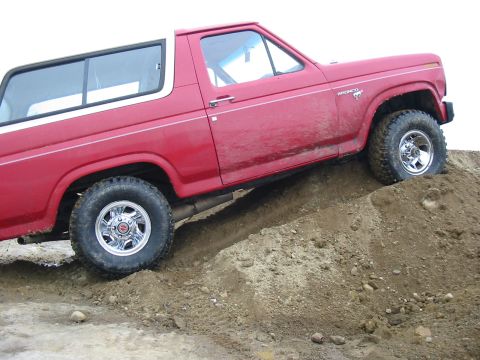 1981 Ford Bronco photo