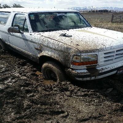 1995 Ford Bronco photo