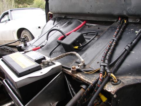 1964 Volkswagen Beetle photo