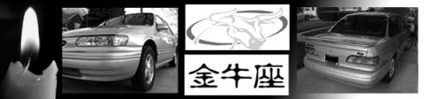 1995 Ford Taurus photo
