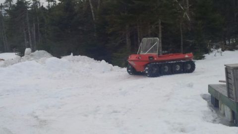 1986 Argo Response