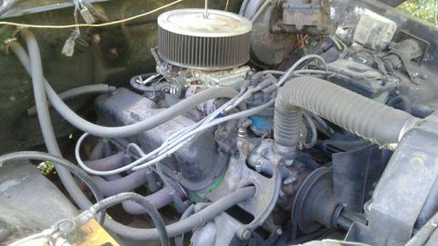 1979 Ford F-250 photo