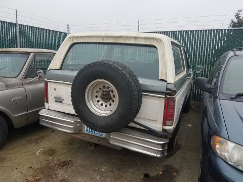 1984 Ford Bronco photo