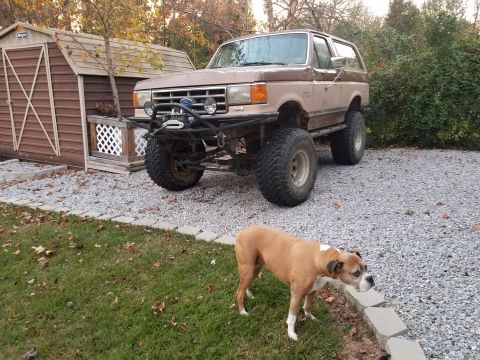 1988 Ford Bronco photo