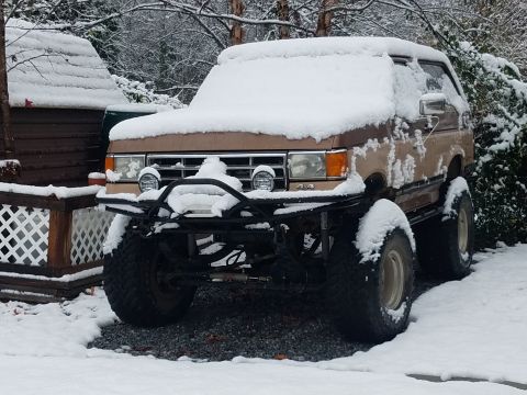 1988 Ford Bronco photo