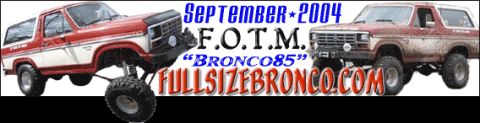 1989 Ford Bronco photo
