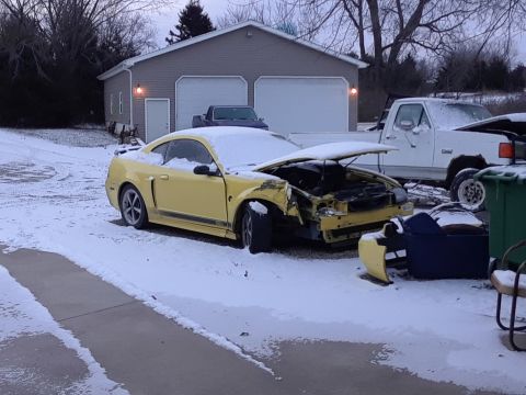 2003 Ford Mustang photo
