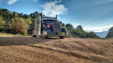 1995 Peterbilt 379 photo