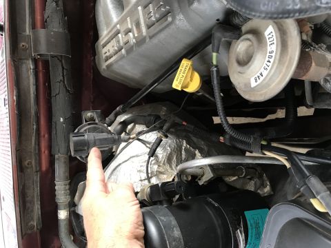 1996 Ford F-150 photo