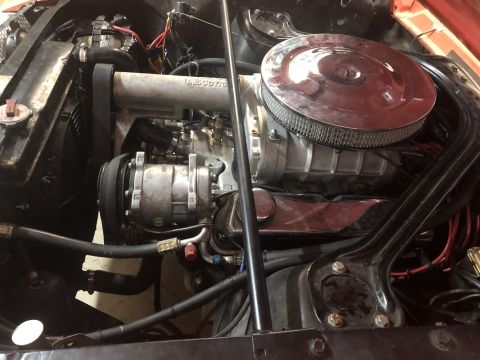 1965 Ford Mustang photo