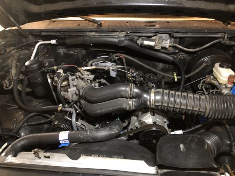 1995 Ford F-150 photo