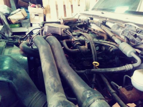 1995 Ford F-150 photo