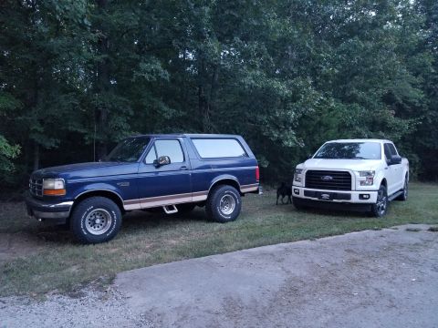 1994 Ford Bronco photo
