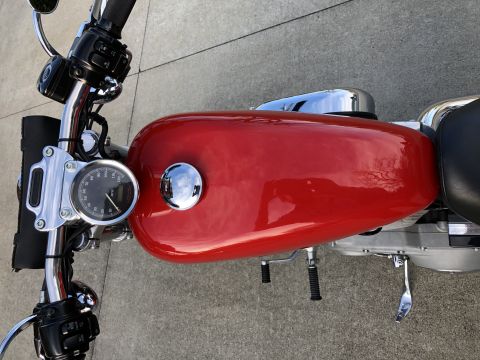 2002 Harley-Davidson Sportster Custom photo