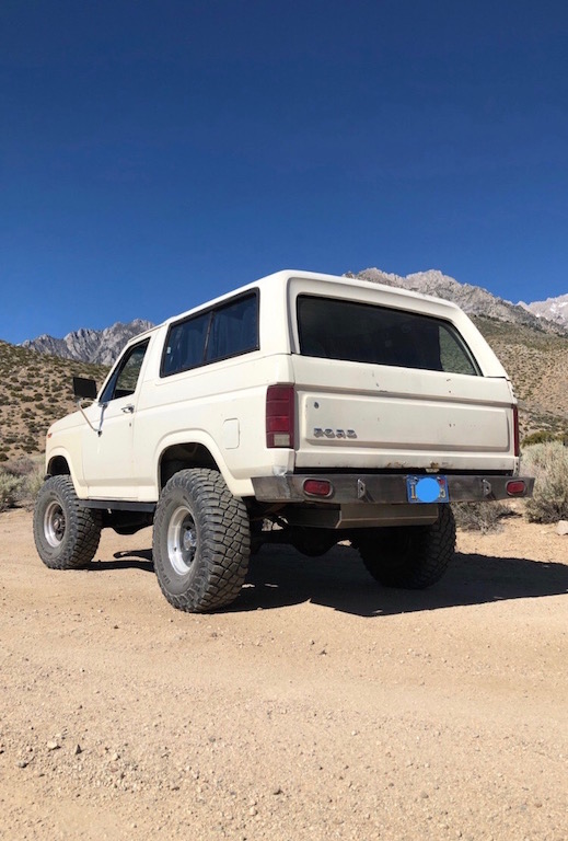 1981 Ford Bronco in 2020