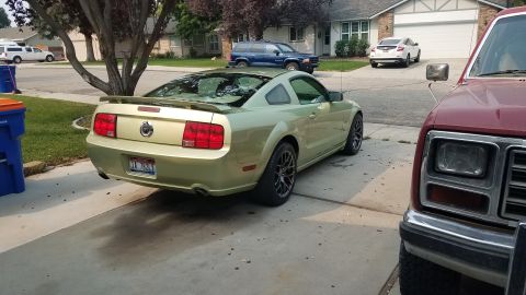 2005 Ford Mustang photo