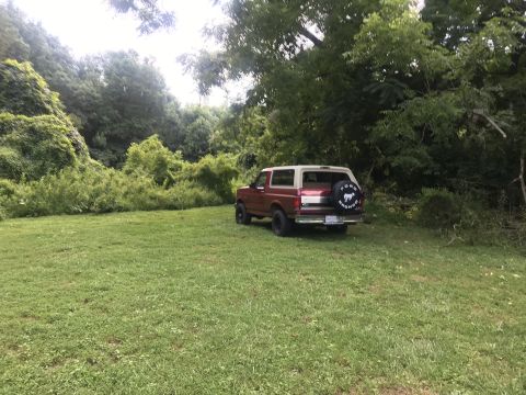 1994 Ford Bronco photo