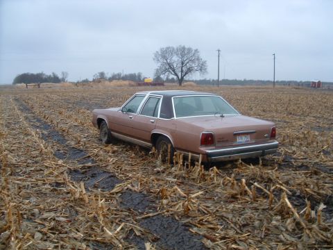 1988 Ford F-150 photo