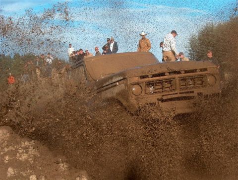 1979 Ford Bronco photo