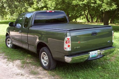 2002 Ford F-150 photo