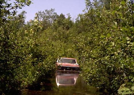 1980 Ford F-100 photo