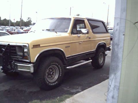 1982 Ford Bronco “The Bumble Bee”