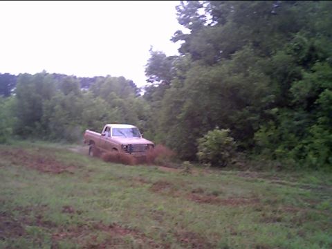 1983 Ford F-150 photo